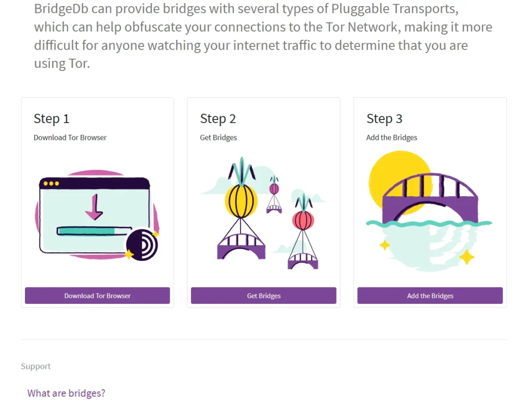 Tor-Bridges-and-Their-Role